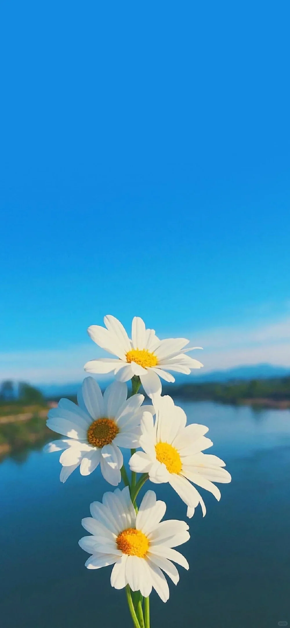 【壁纸】万物皆空，心境自由