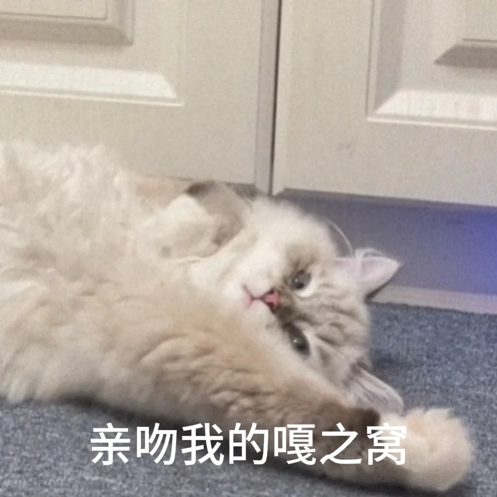 小猫表情包～自取