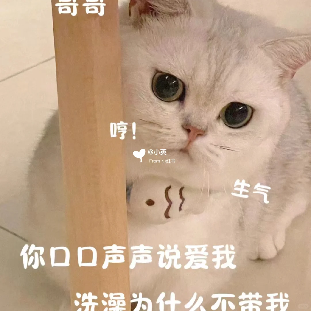 发给对象的表情包来啦