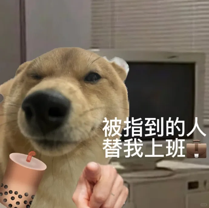 表情包：我几乎算不上人