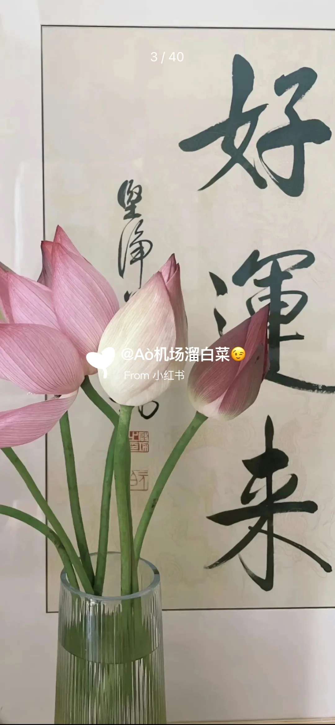 壁纸 | 春日清新 锁屏壁纸