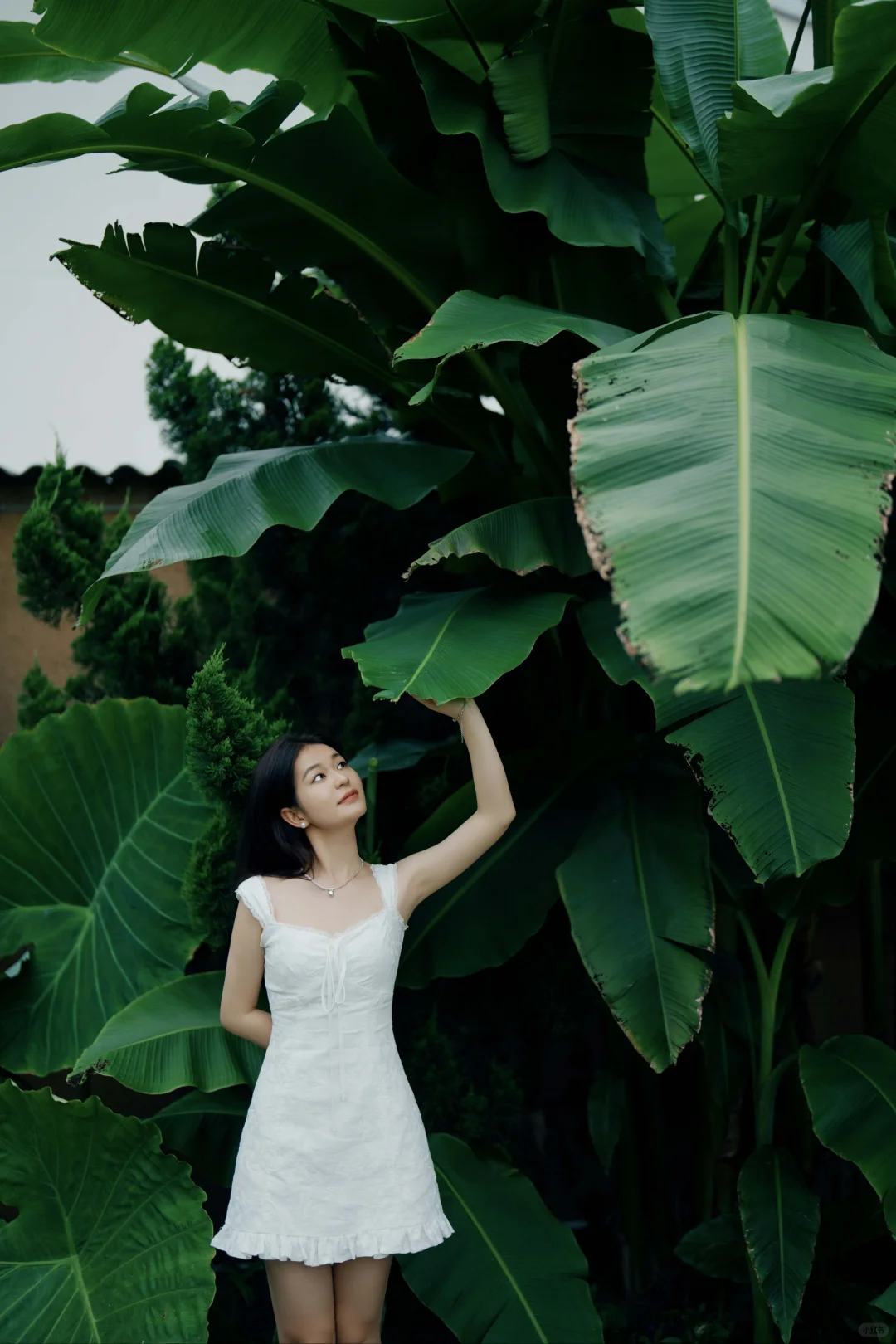 个人摄影接不到单，只能给女朋友拍这样子