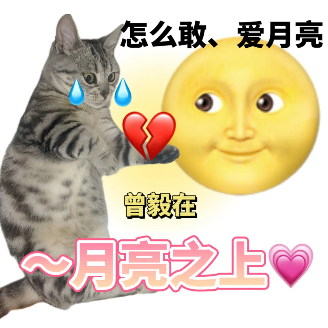 我哪有❤️‍?旺夫命｜猫咪表情包分享