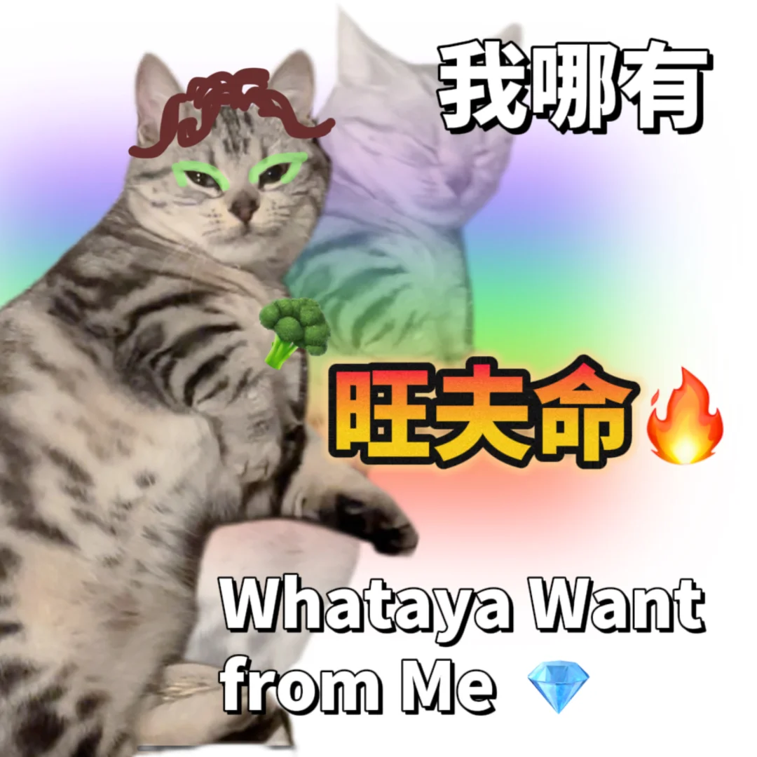 我哪有❤️‍?旺夫命｜猫咪表情包分享