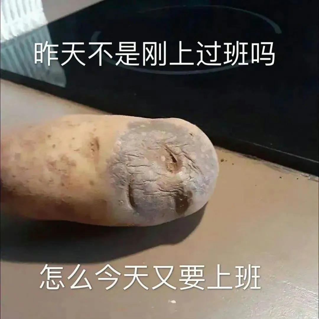 这么有趣的表情包确定不狠狠偷走