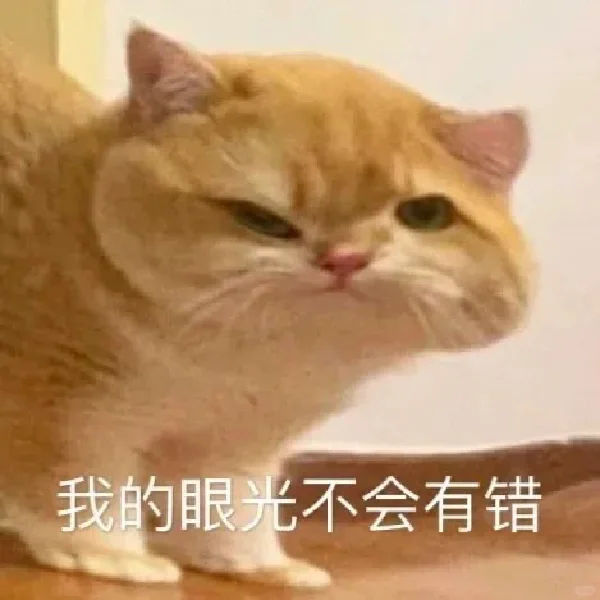 猫咪坡坡表情包