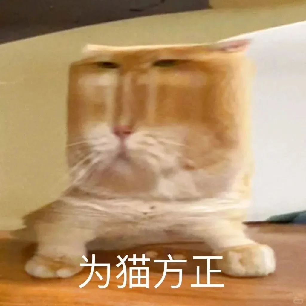 猫咪坡坡表情包