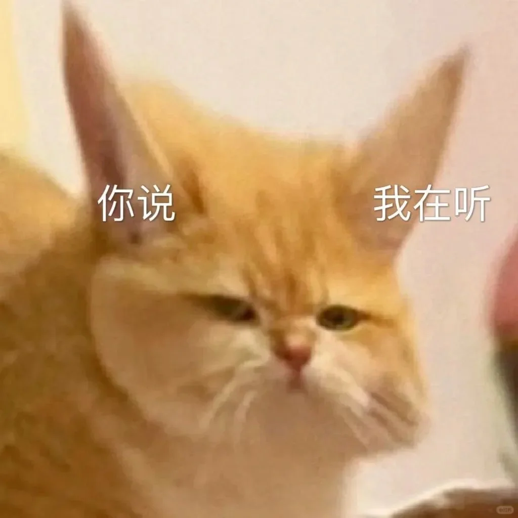 猫咪坡坡表情包