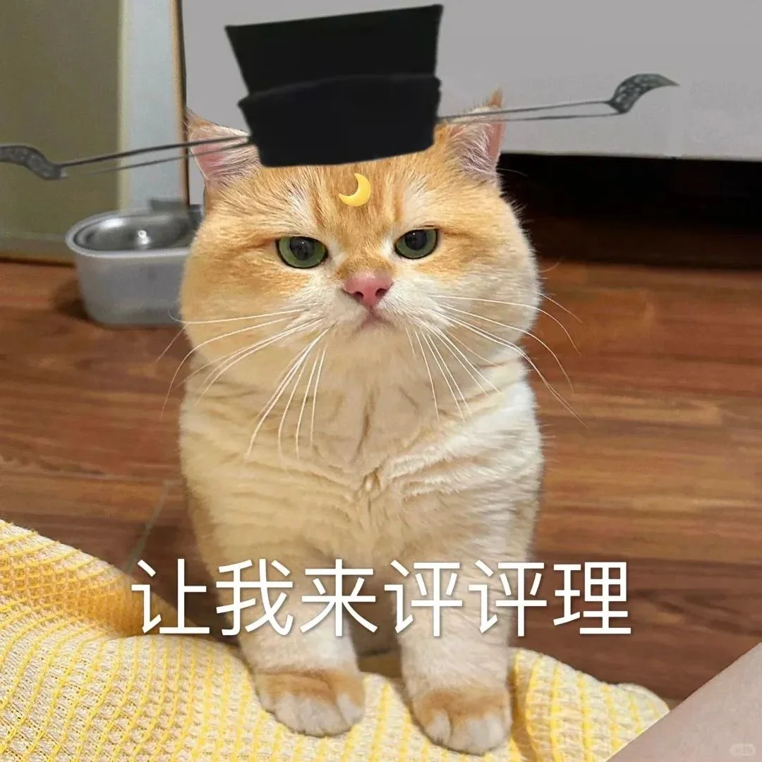 猫咪坡坡表情包