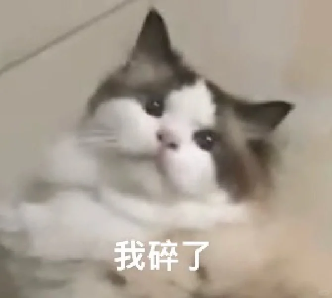 糊猫猫表情包