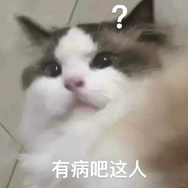 糊猫猫表情包