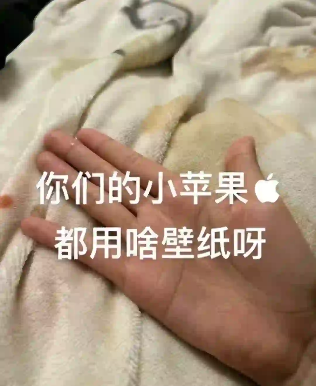 求好看的手机壁纸