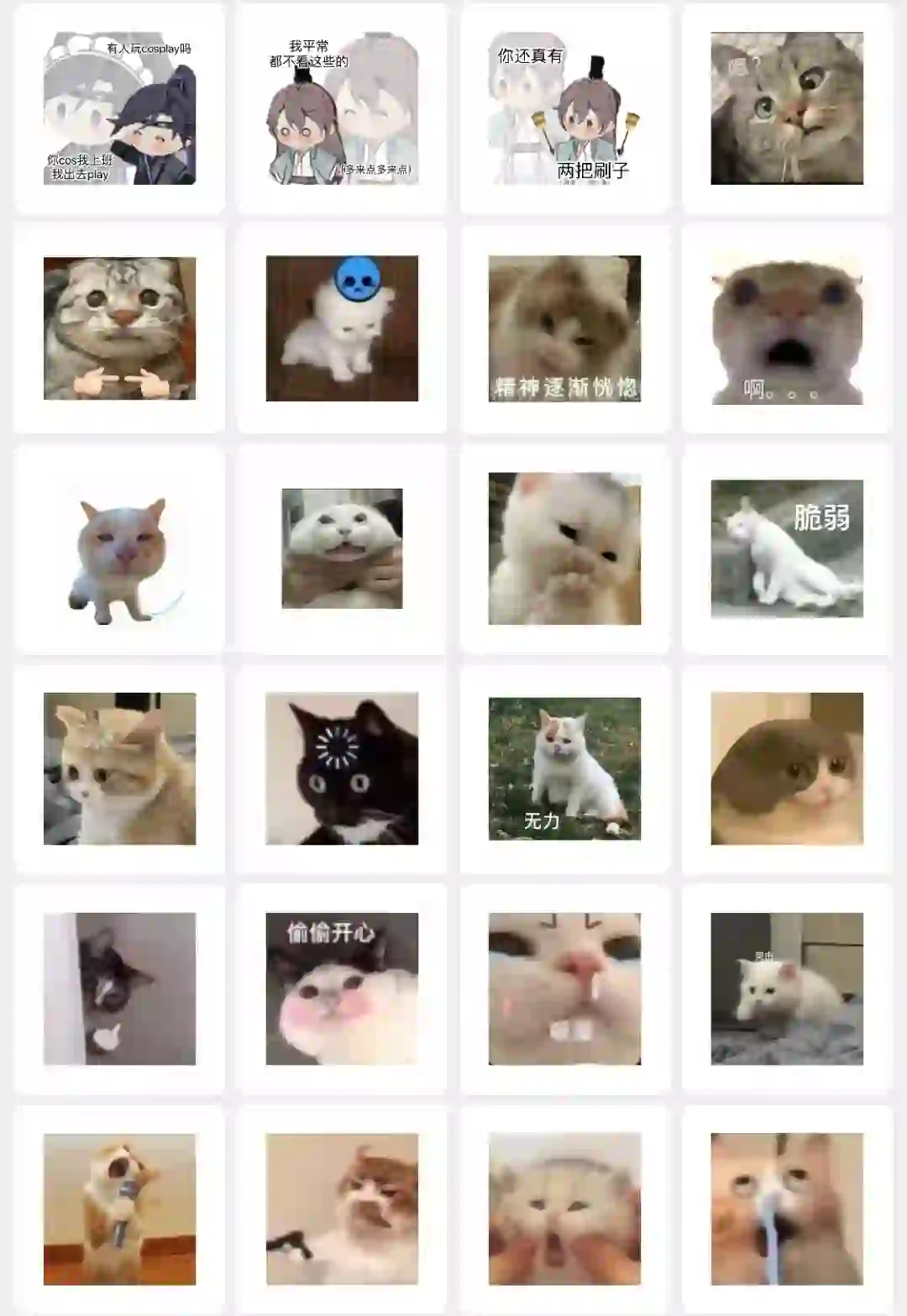 猫猫表情包来咯！快接住！