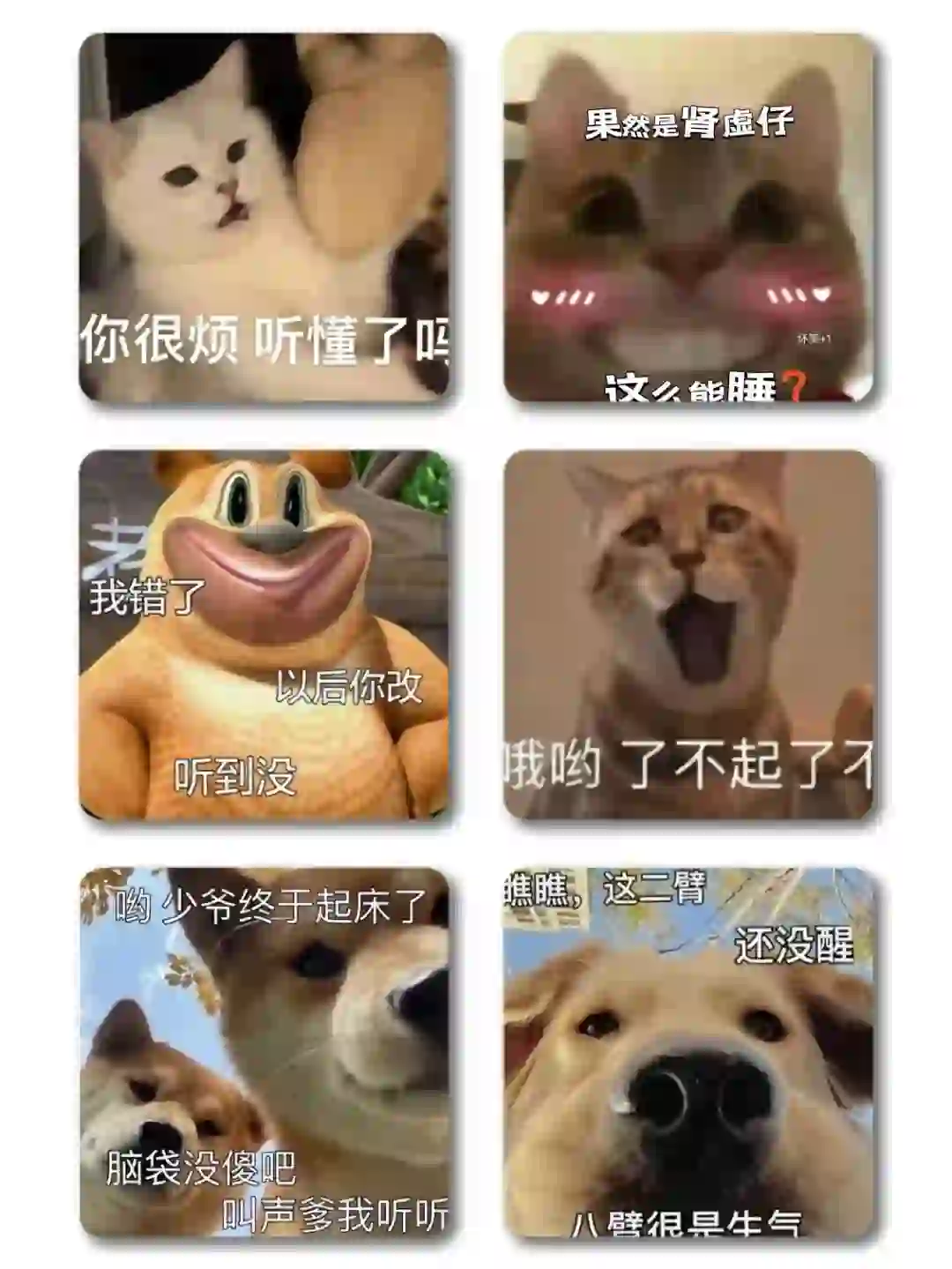 ??????日常犯贱表情包