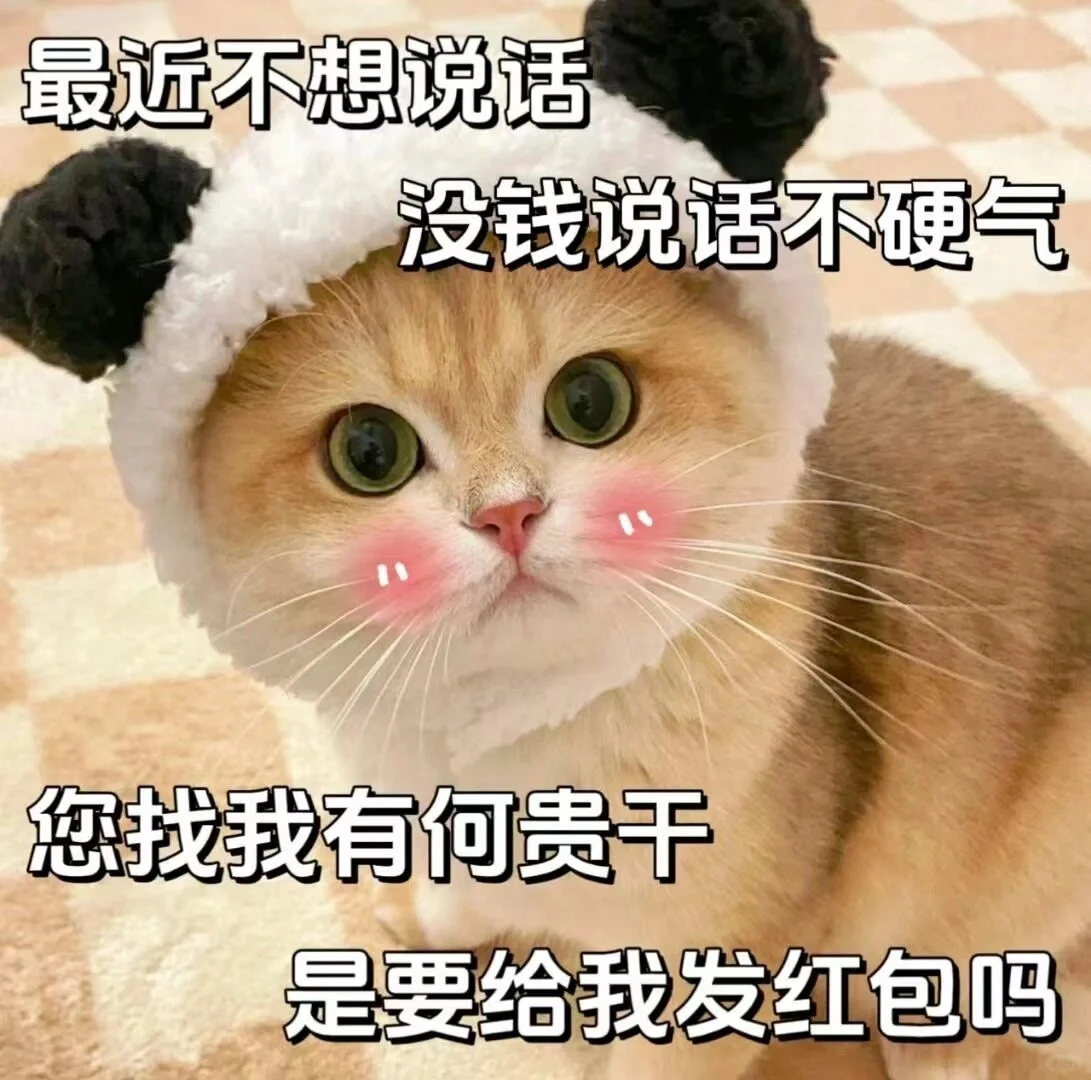 《猫咪表情包》