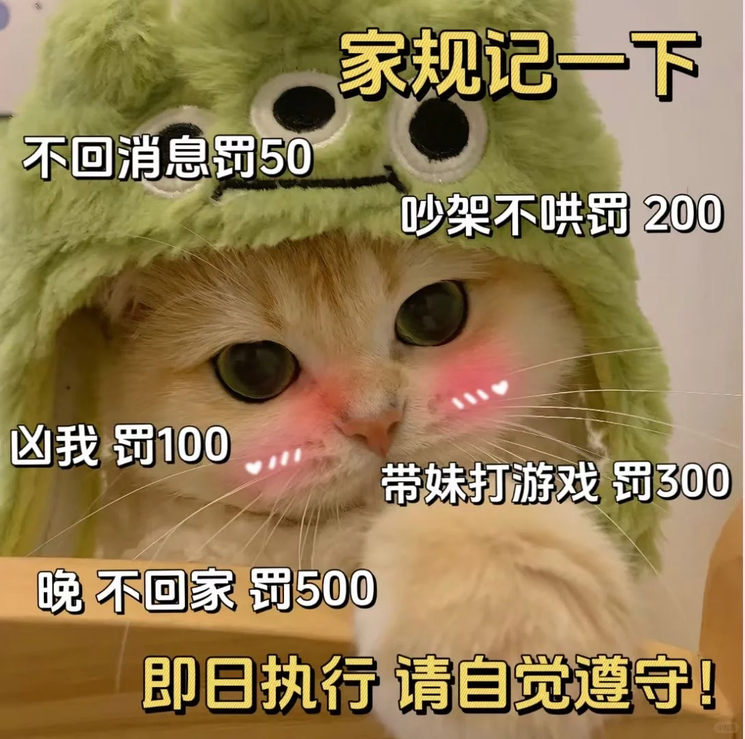 《猫咪表情包》