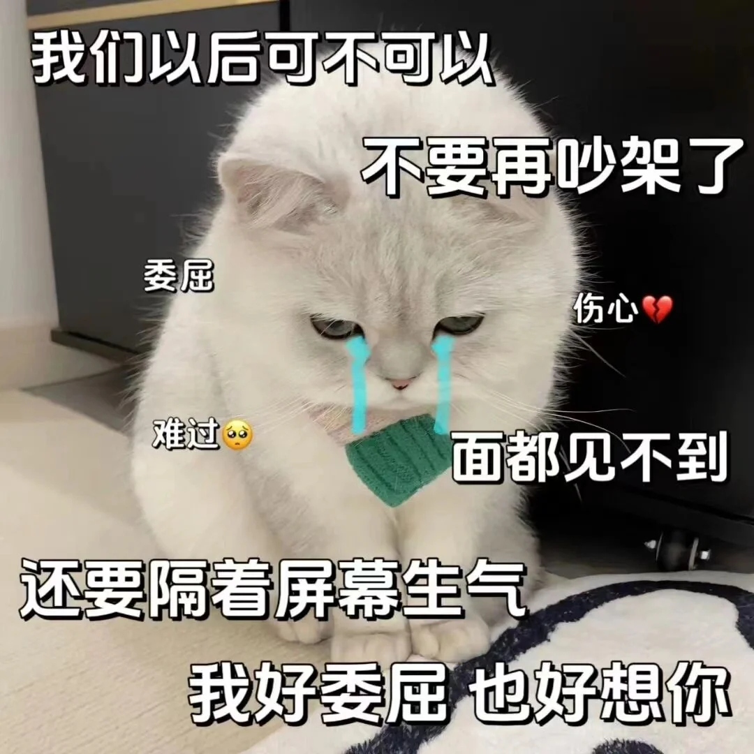 《猫咪表情包》