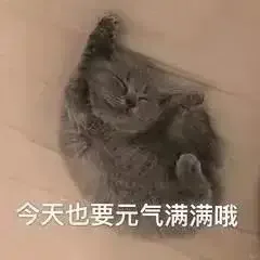 猫猫搞笑表情包