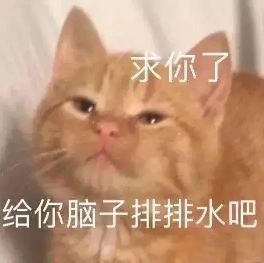 猫猫搞笑表情包