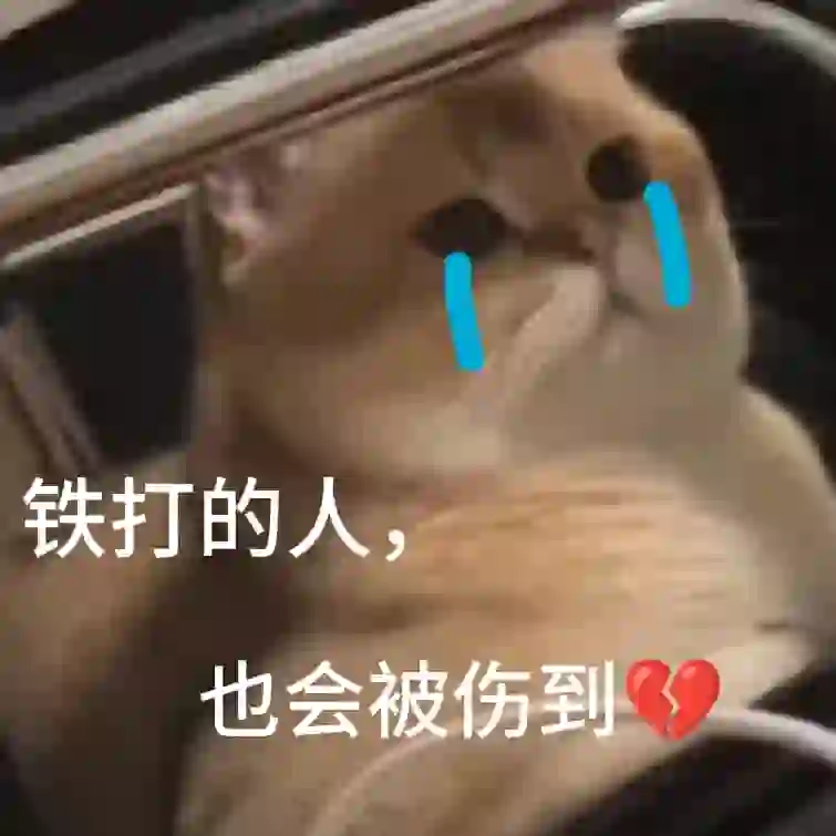 伤心小猫表情包