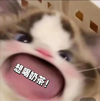 大嘴猫猫表情包