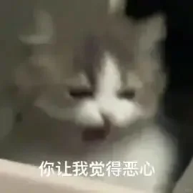 猫猫搞笑表情包