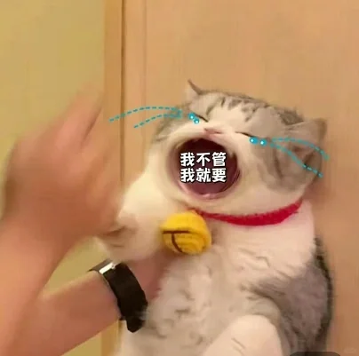 大嘴猫猫表情包