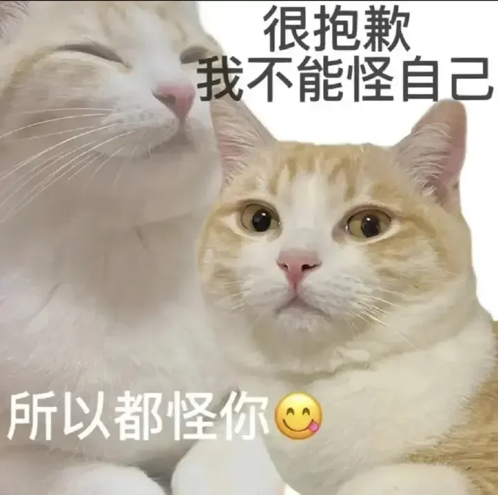 猫猫搞笑表情包