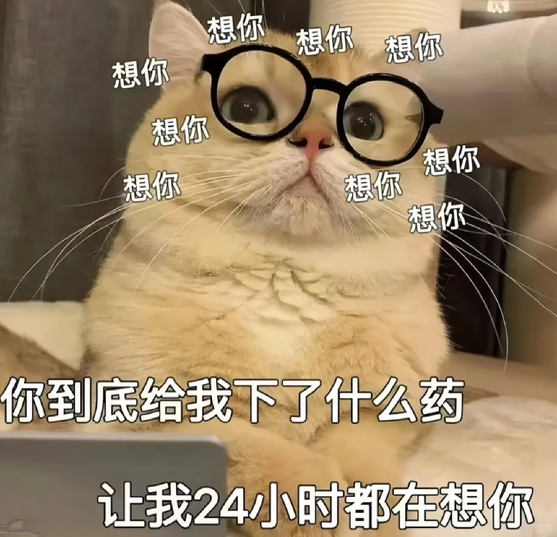 《猫咪表情包》