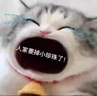 大嘴猫猫表情包