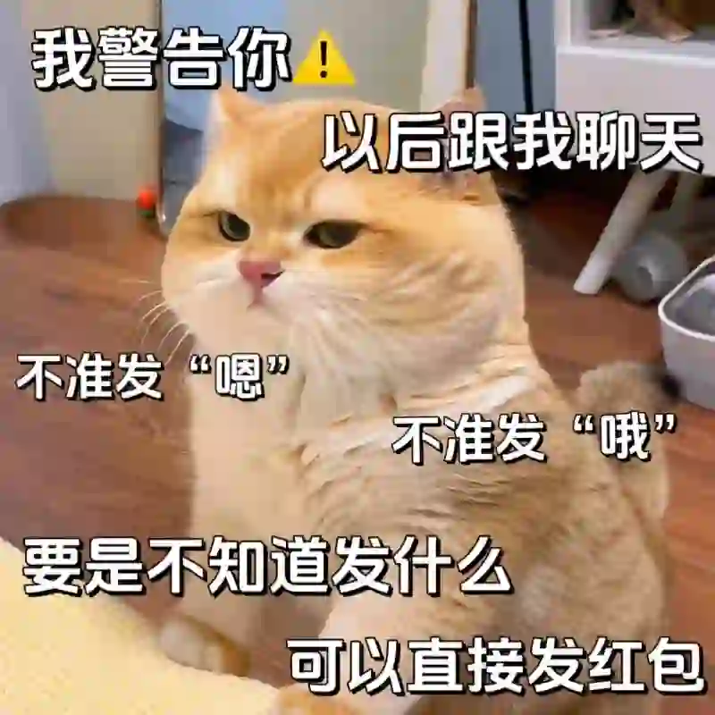 《猫咪表情包》