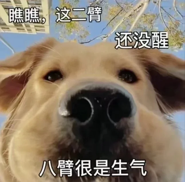 ??????日常犯贱表情包