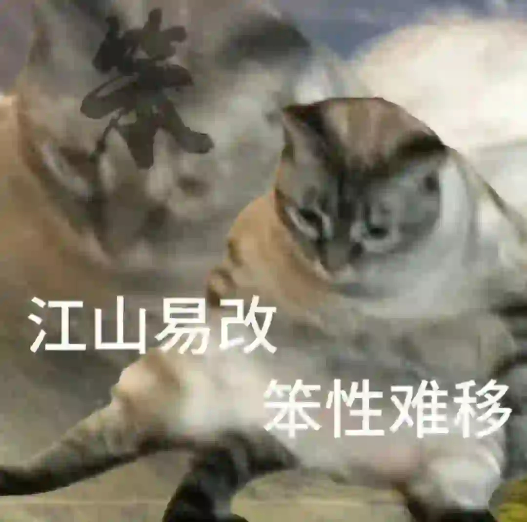 猫猫搞笑表情包