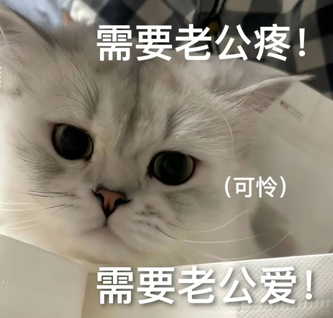 《猫咪表情包》