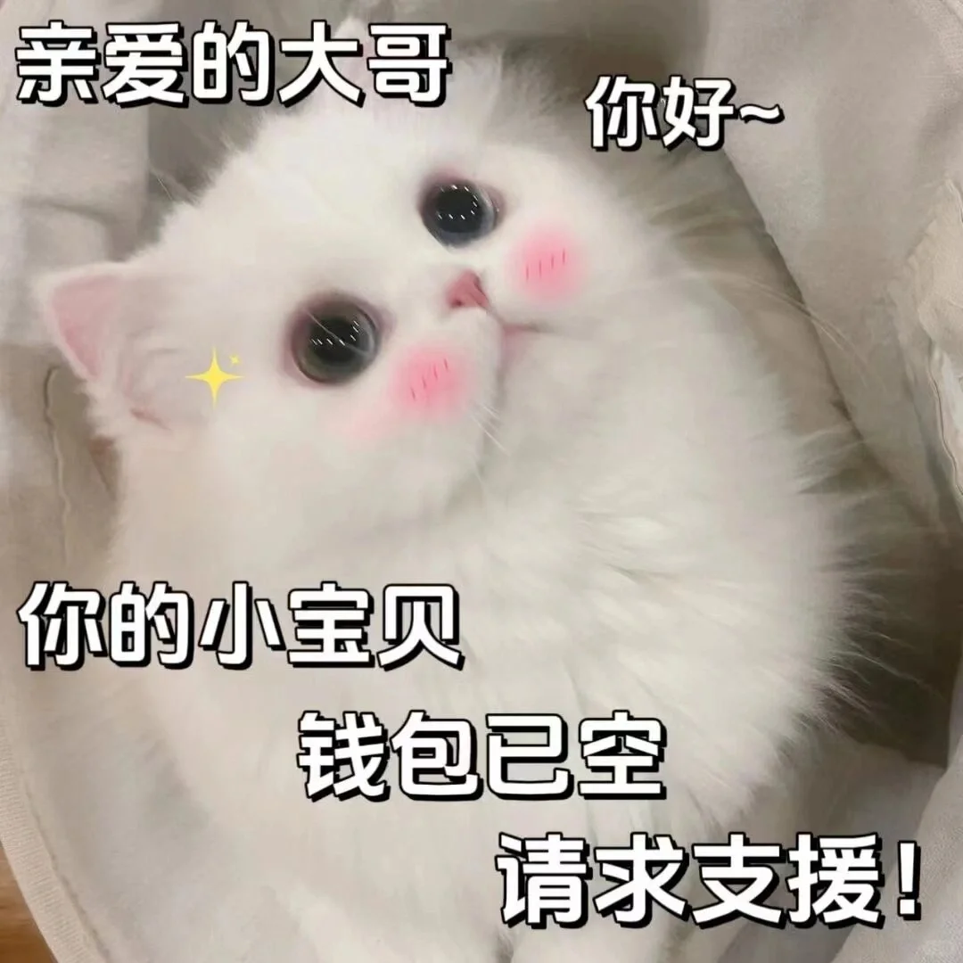 《猫咪表情包》