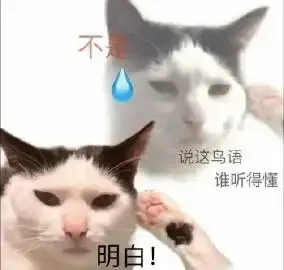 猫猫搞笑表情包