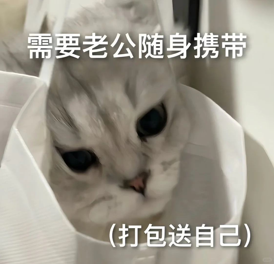 《猫咪表情包》