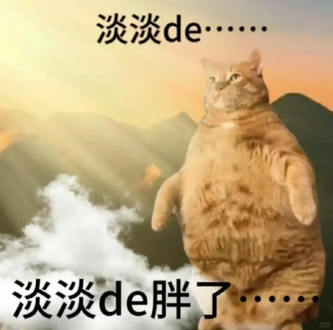 猫猫搞笑表情包