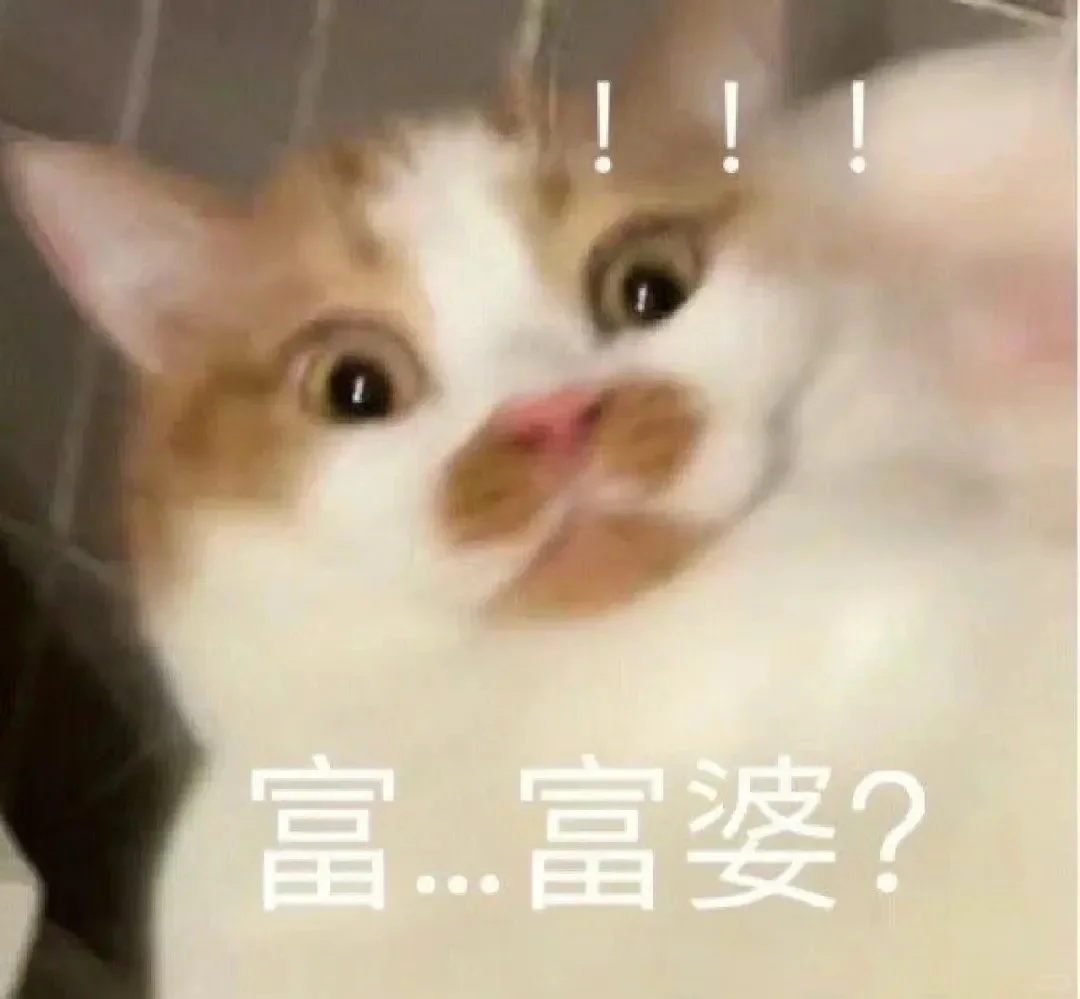 又一组可爱猫猫表情包