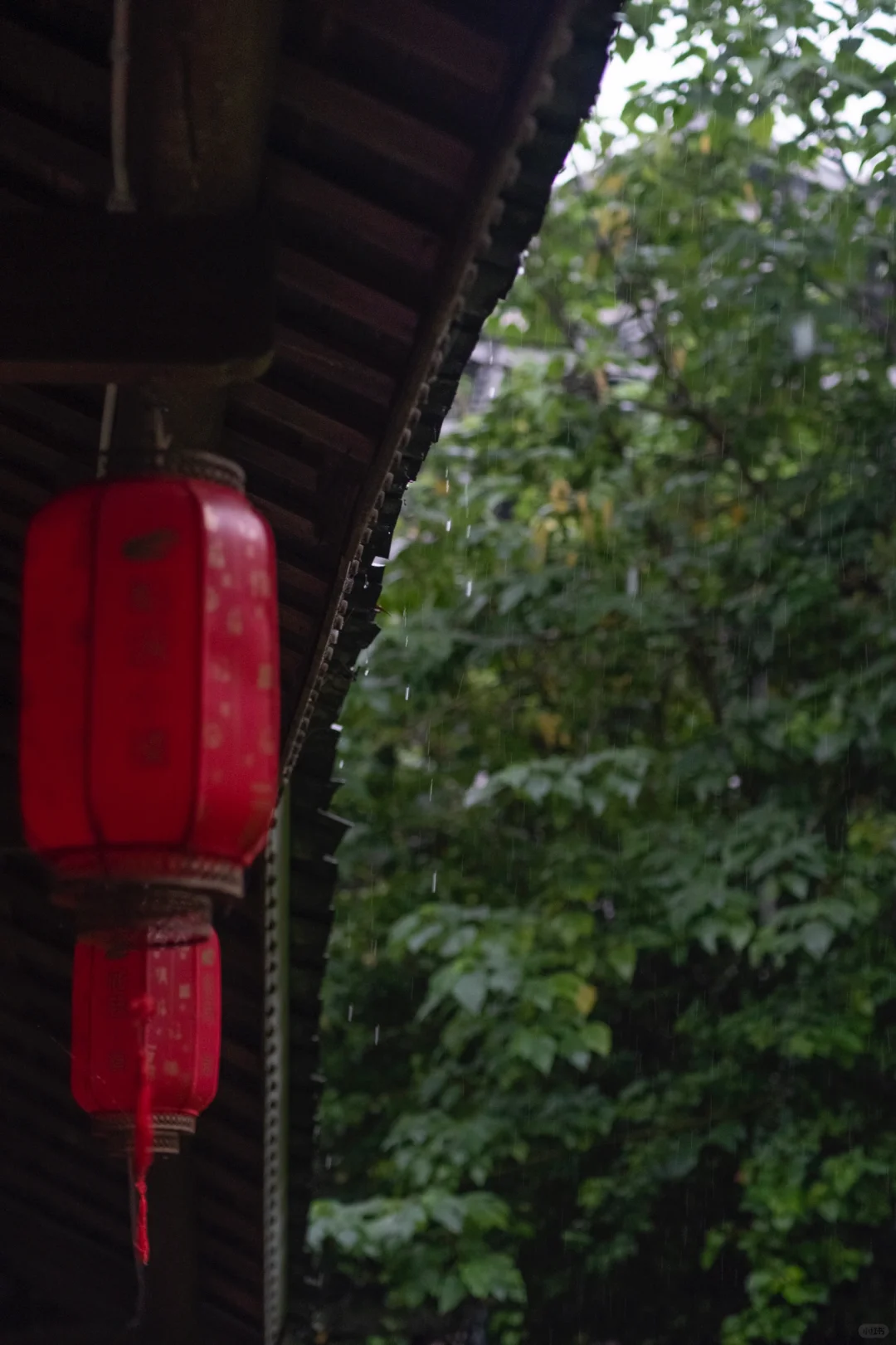 清汉女|相思湖小镇|雨天