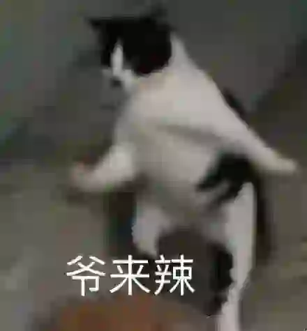 沙雕表情包合集