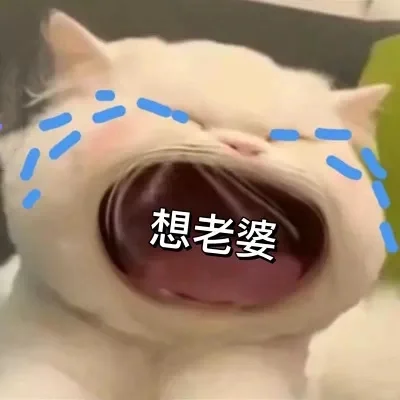 大嘴猫表情包 我扛不住了