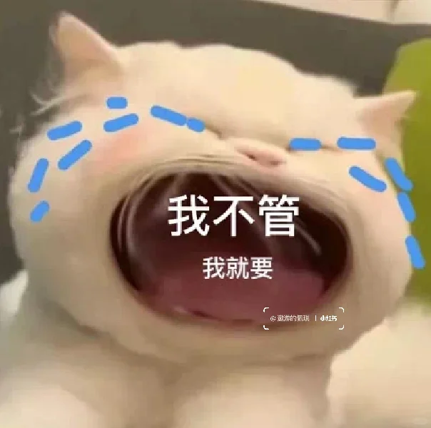 大嘴猫表情包～我扛不住了