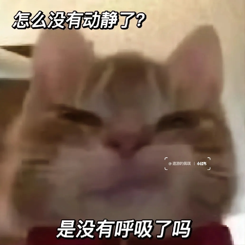 大嘴猫表情包～我扛不住了