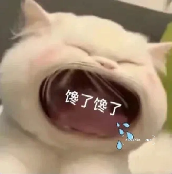 大嘴猫表情包～我扛不住了