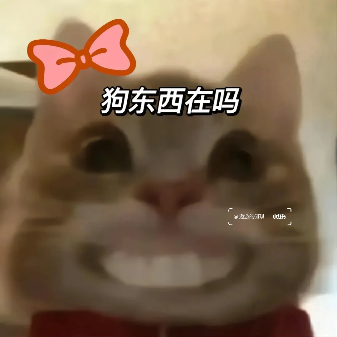 大嘴猫表情包～我扛不住了