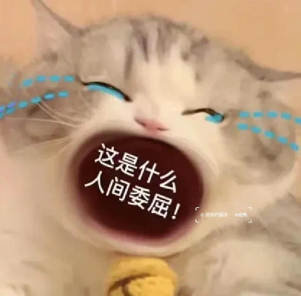 大嘴猫表情包～我扛不住了