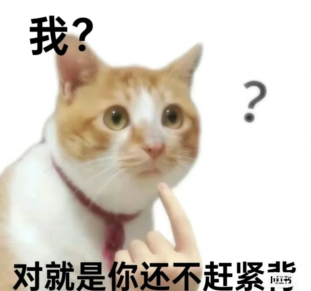 早读 表情包?