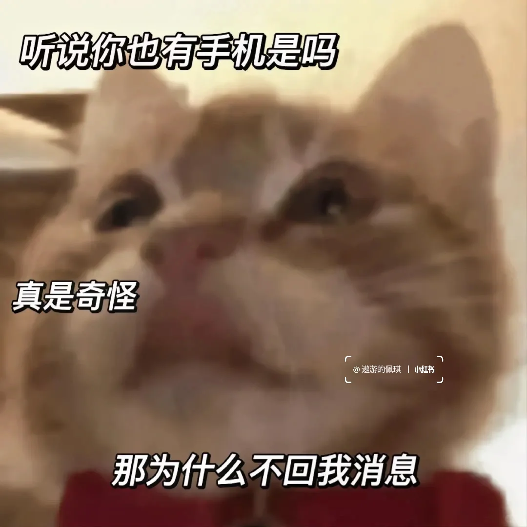 大嘴猫表情包～我扛不住了