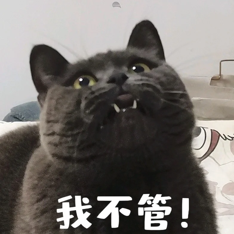 调皮小猫表情包合集